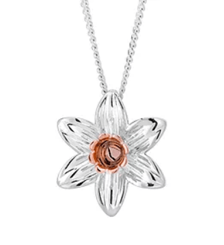 H samuel mothers sales day necklace